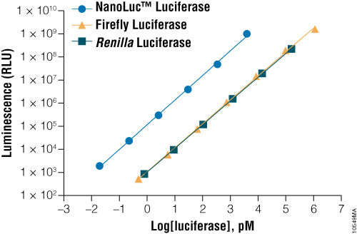 A comparison of the sensitivity of NanoLuc®, firefly and Renilla luciferase assays.