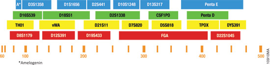 Figure 10910MA