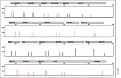 Figure 10914MA