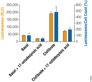 Cell-based CYP4A induction assay.