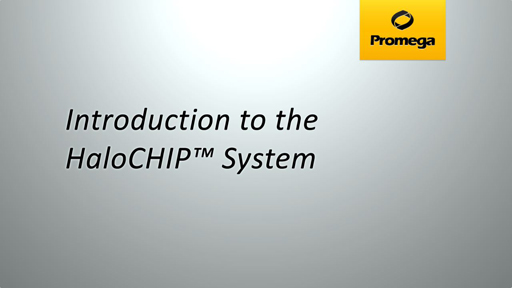 HaloCHIP System Animation