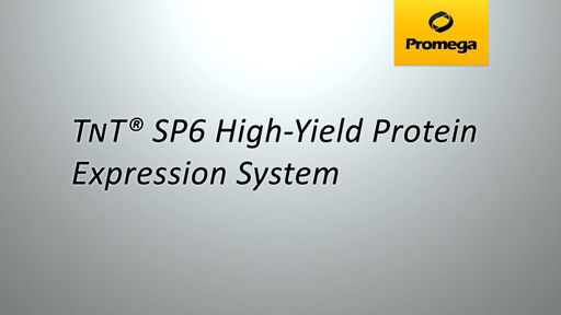 T<span class="smallCaps">N</span>T® SP6 High-Yield Protein Expression System Animation