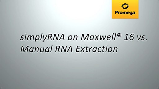 Maxwell versus Man