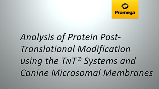 Protein Analysis using the T<span class="smallCaps">N</span>T® Systems and Canine Microsomal Membranes
