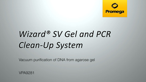 Wizard® SV Gel and PCR Clean-Up System: Vacuum Purification from Gel