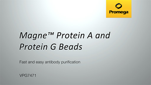 Magne Protein G Beads versus Leading Competitors