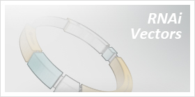 RNAi Vectors