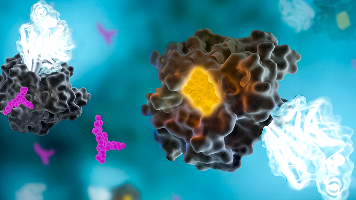 undruggablesweb-tiles-raf-inhibitors