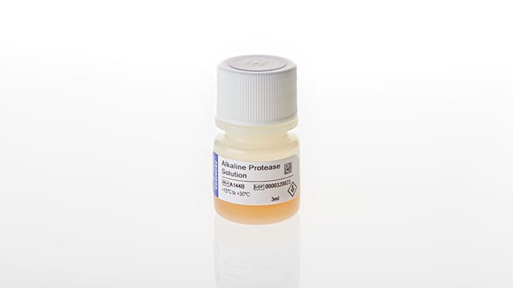 A1441-alkaline-protease-solution