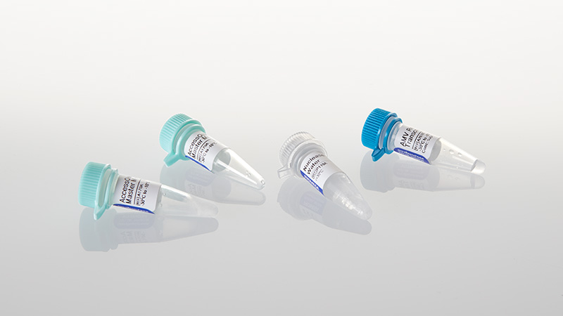 AccessQuick RT-PCR System 20 reactions
