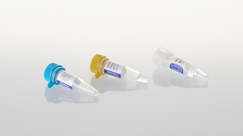 A2790-goscript-reverse-transcription-mix-oligo-dt