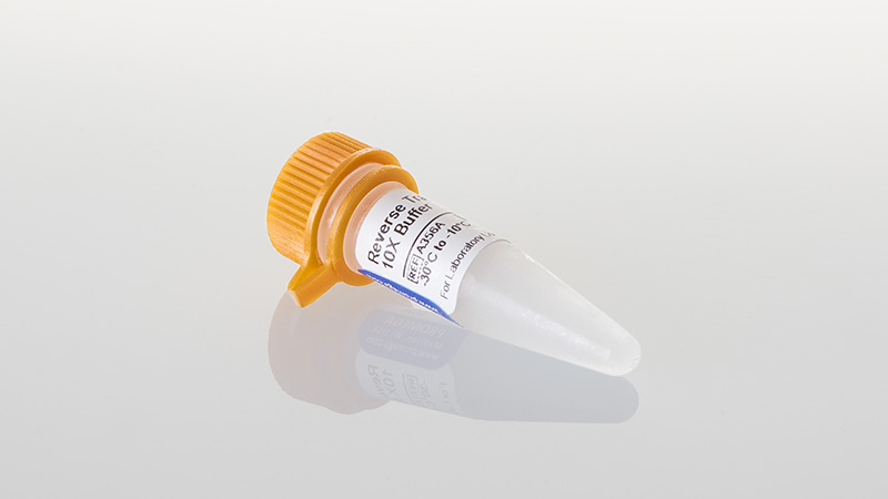 A3561-reverse-transcription-10x-buffer