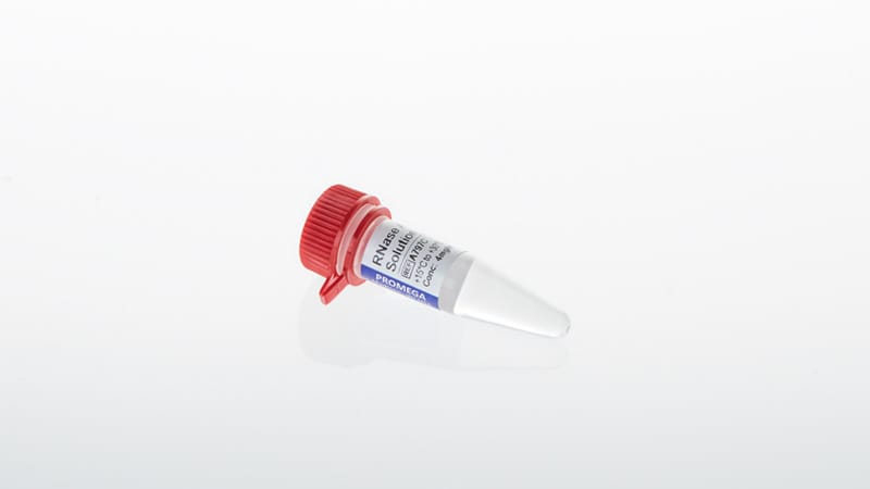 A7973-rnase-a-solution