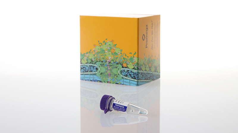 am2060sarscov2nedsdnaquantstandard3