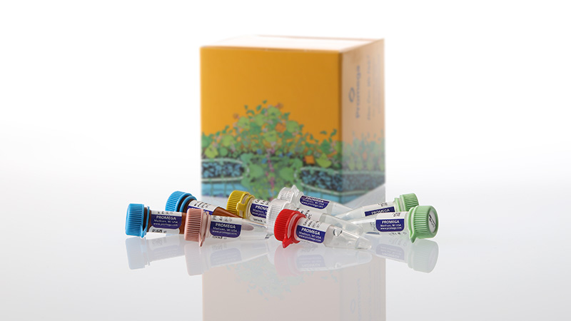 SARS-CoV-2 RT-qPCR Kit for Wastewater | SARS-CoV-2 Variant