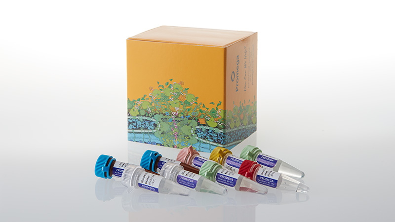SARS-CoV-2 RT-qPCR Kit for Wastewater | SARS-CoV-2 Variant