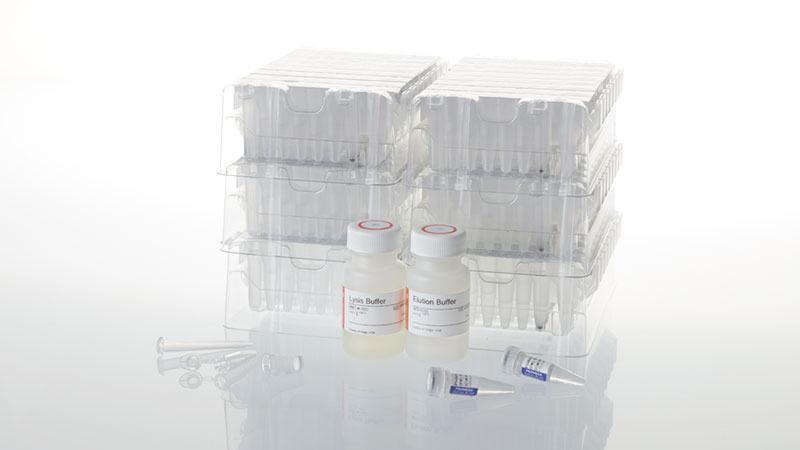 AS1640-maxwell-rsc-buccal-swab-dna-kit
