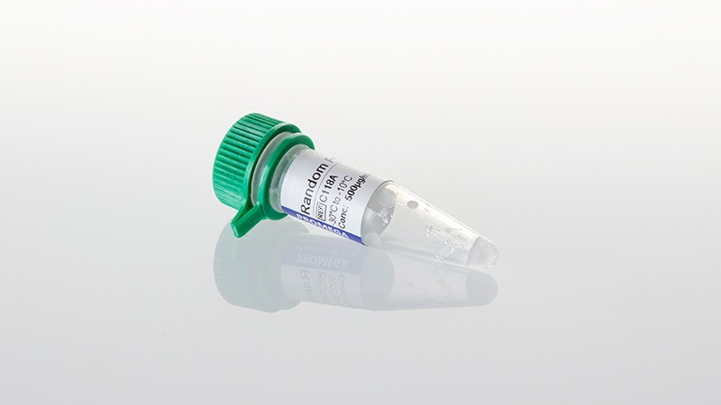 C1181_Random-Primers--20ug_3