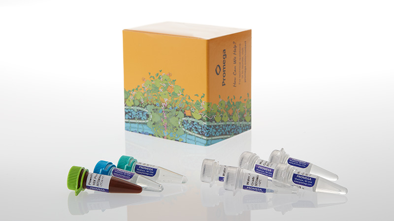 dc3620-powerplex-18e-system-pre-amplification-components