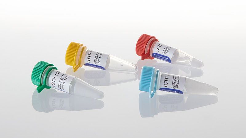 E6000_rCTP--rGTP--rUTP----rATP--100mM-ea---4x4_3