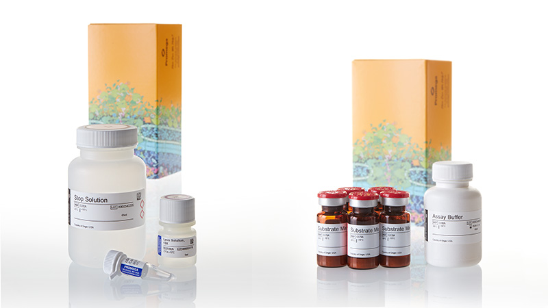 CytoTox 96® Non-Radioactive Cytotoxicity Assay
