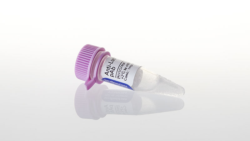 G7451_Anti-Luciferase-pAb--200ug_3