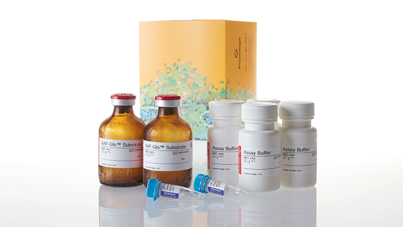 G9272_MultiTox-Glo-Multiplex-Cytotoxicity-Assa_3