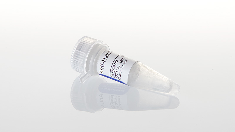 G9281_Anti-HaloTag--pAb--200ug_3