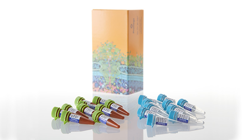 G9712_RealTime-Glo--MT-Cell-Viability--10X100_3