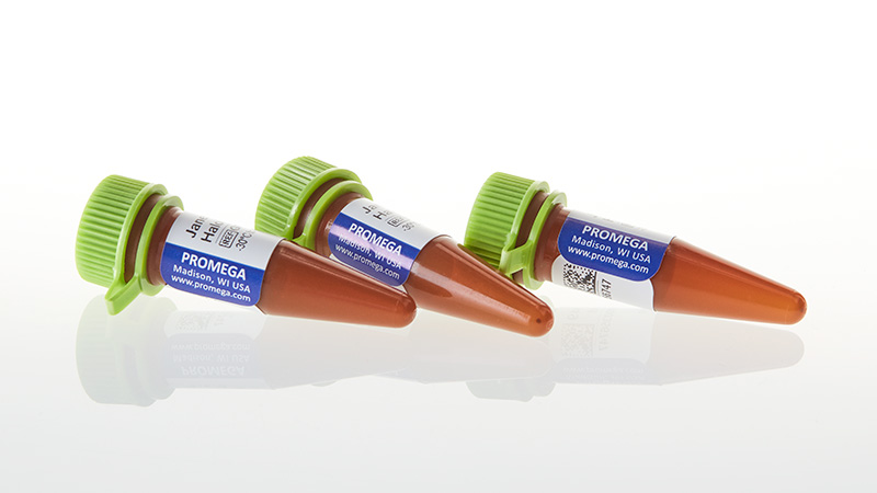 GA1111_Janelia-Fluor--549-HaloTag--Ligand_3