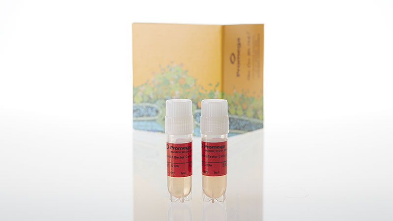 J2132_CD40-Bioassay--Propagation-Model_3