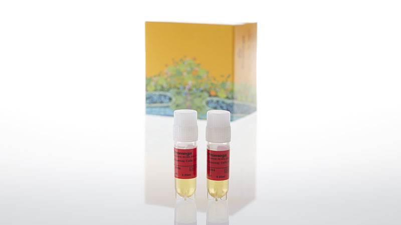 J2992_IL-6-Bioassay--Propagation-Model_3