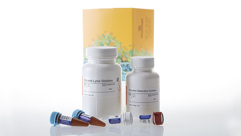 J3151_Glycerol-Glo--Assay_3