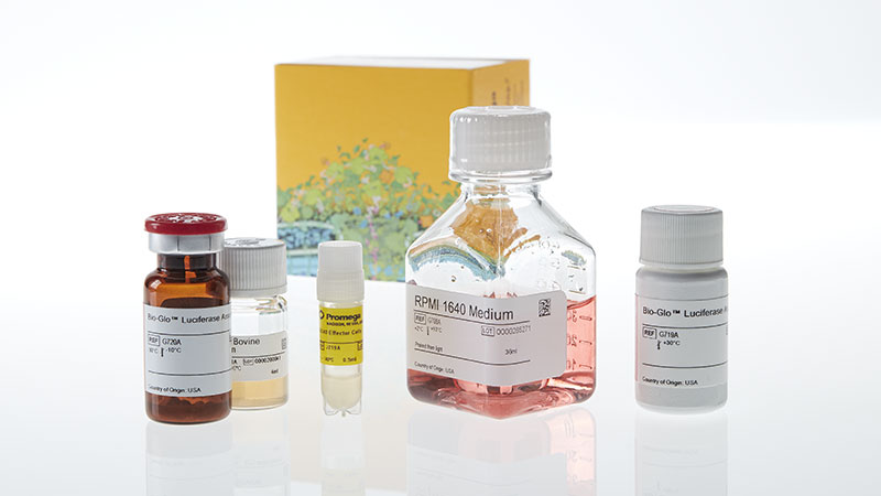 JA2191_OX40-Bioassay--Korea-_3