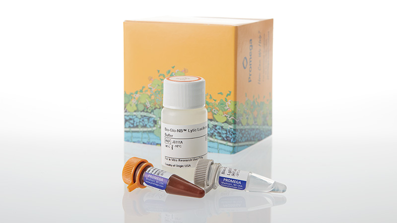 jb1101-bio-glo-nb-lytic-luciferase-assay-system-10ml