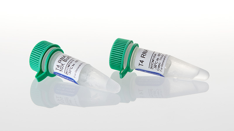 M1051_T4-RNA-Ligase--500u_3