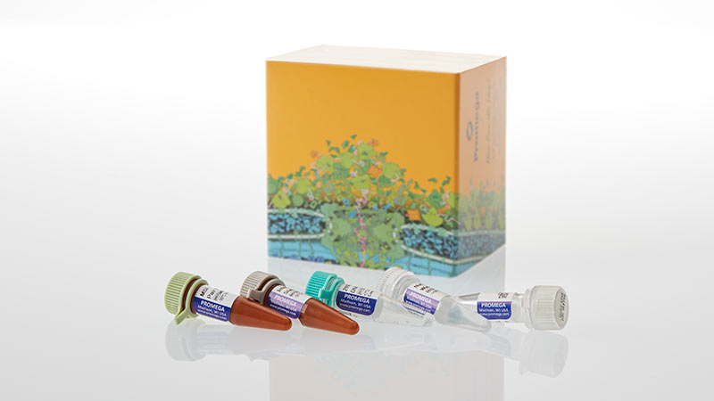 MSI Analysis System, Version 1.2