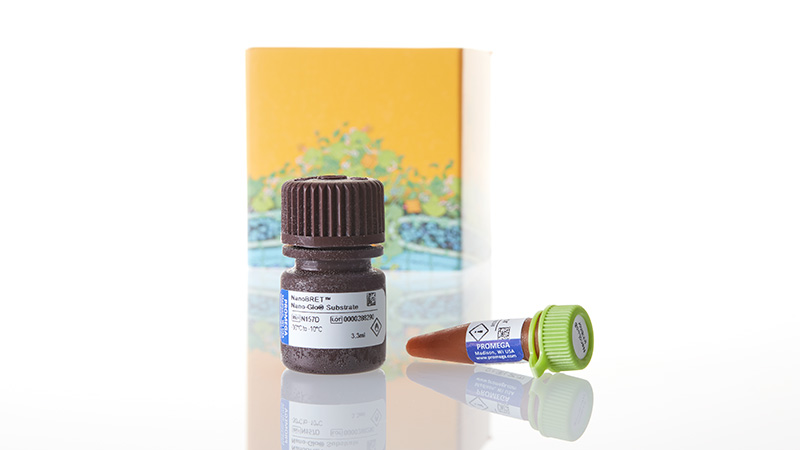 N2161_IntracellularTE-Nano-Glo-Substrate-3aInhib_3