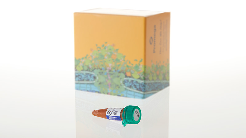 N2570_Nano-Glo--Endurazine--Live-Cell-Substrate_3