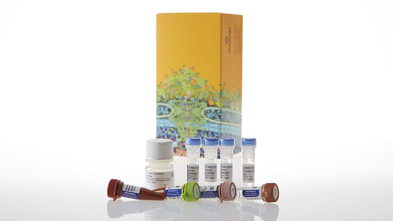 N2600_NanoBRETTM-TE-Intracellular-Kinase-Assay--K-3--100-Assays_3