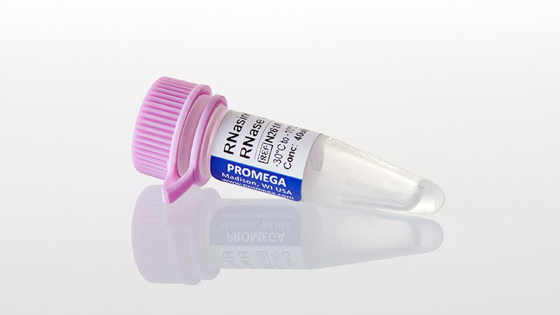 N2611_RNasin--Plus-RNase-Inhibitor--2500u_3