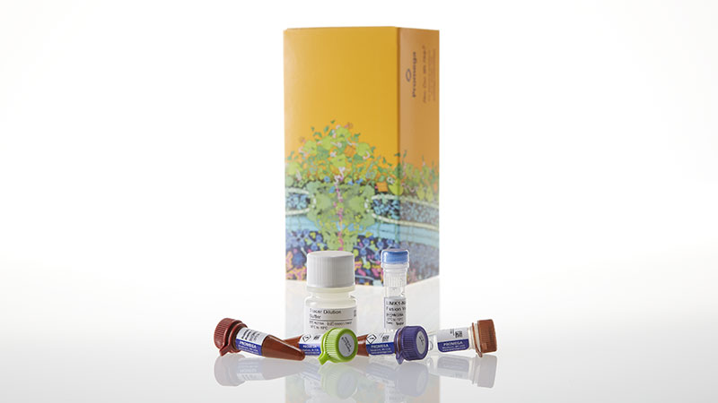 N2650_NanoBRETTM-TE-Intracellular-Kinase-Assay--K-11--100-assays_3