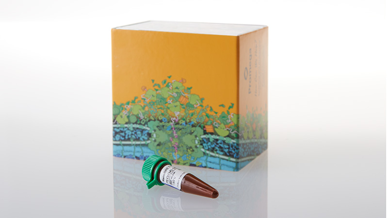 n5200-nanobret-590-peg-o4-se-5mg