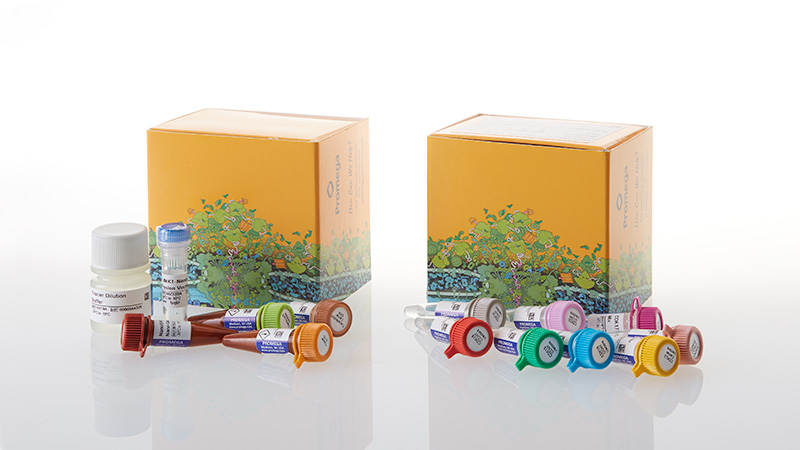 np5150-nanobret-te-cdk-selectivity-system-b