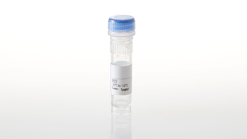 NV4201_NanoLuc--RPS6KA3-L608F- Fusion Vector- 20ug