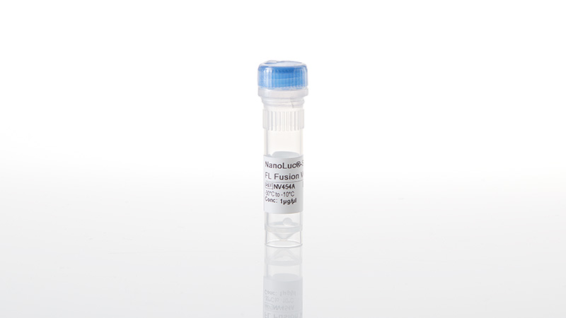 nv4541-nanoluc-sik3-fl-fusion-vector