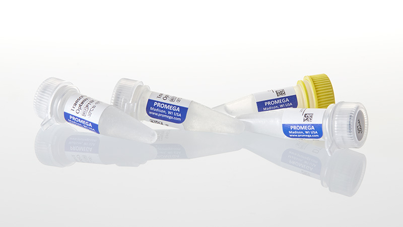 P1081_SP6-RNA-Polymerase--5-000u_3