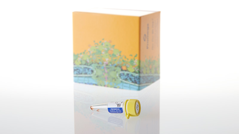 P1231_ViviRen- In Vivo Renilla Luciferase Substrate