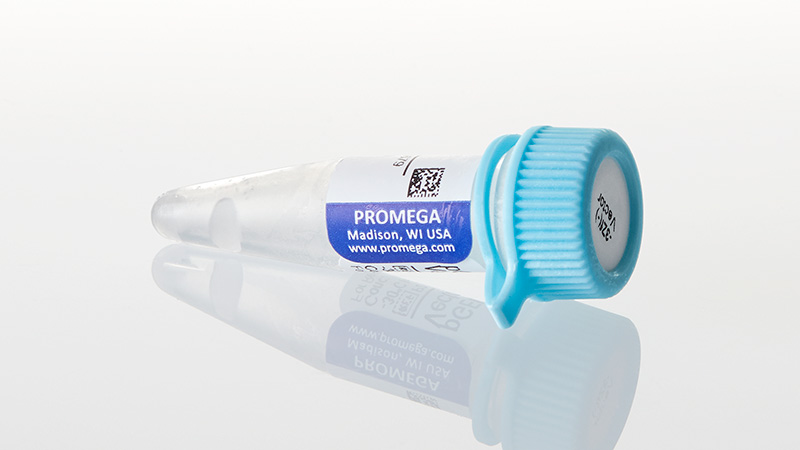 P2261_pGEM--3Zf----Vector--20ug_3