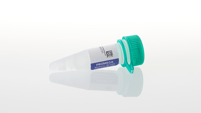 Q5011_SP6-Promoter-Primer--2ug_3